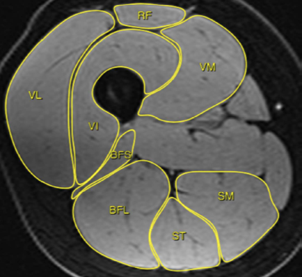 Screenshot 2025-11-18 at 10.13.22 AM.png